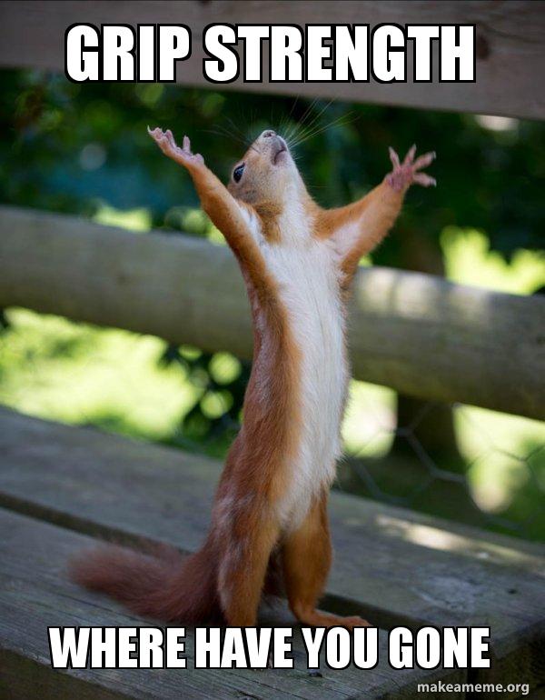 Grip strength Where have you gone Happy Squirrel Make a Meme