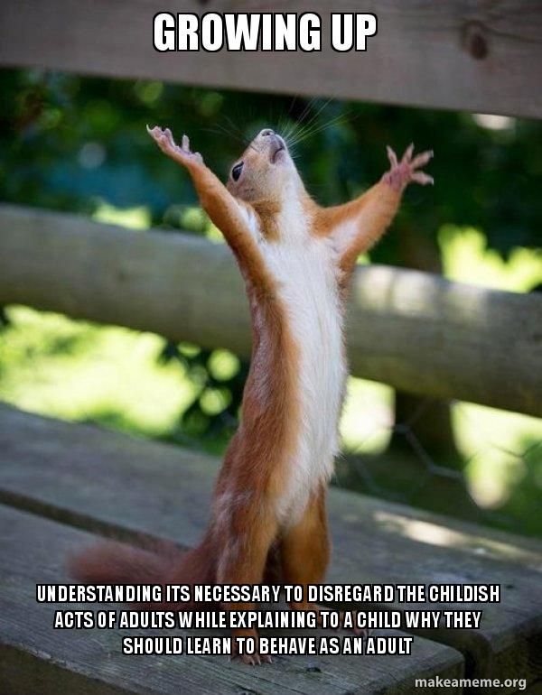 Growing Up Understanding Its Necessary To Disregard The Childish Acts Of Adults While Explaining To A Child Why They Should Learn To Behave As An Adult Happy Squirrel Make A Meme