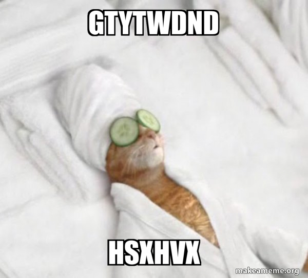 Pampered Cat Meme meme