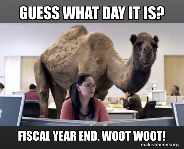 Hump Day Camel meme