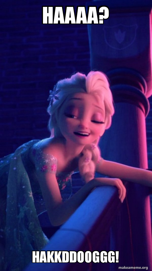 HAAAA? HAKKDDOOGGG! - Drunk Elsa Meme Generator