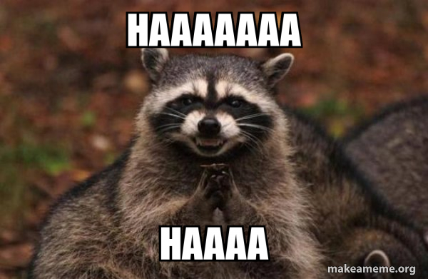HAAAAAAA HAAAA - Evil Plotting Raccoon Meme Generator