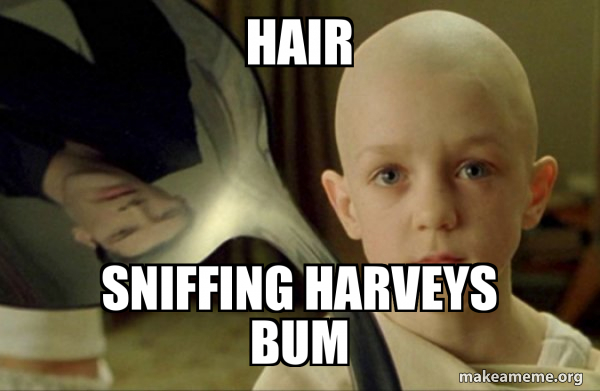 hair sniffing Harveys bum - There is no Spoon Meme Generator