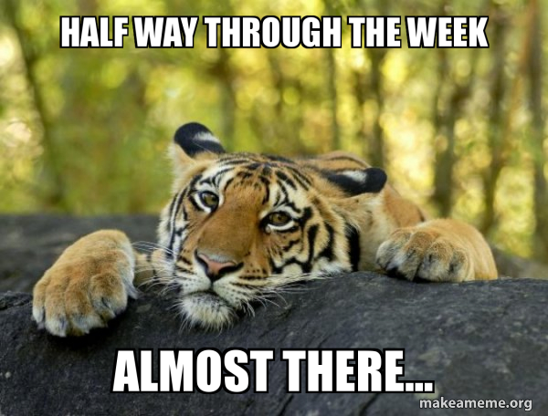 half way through the week almost there... - Confession Tiger Meme Generator