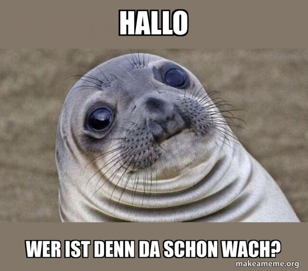 Hallo Ist Denn Hier Keiner Hallo Wer ist denn da schon wach? - Squeamish Seal Meme Generator