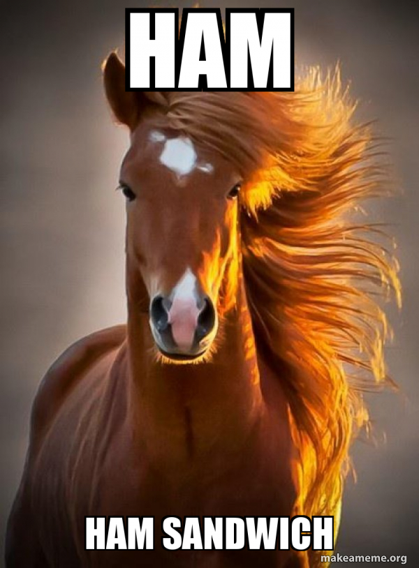 Ridiculously photogenic horse meme