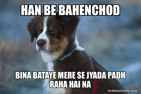 Unsure Dog meme