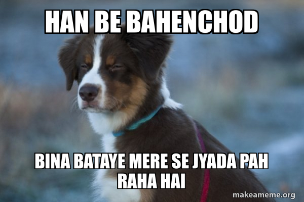 Unsure Dog meme