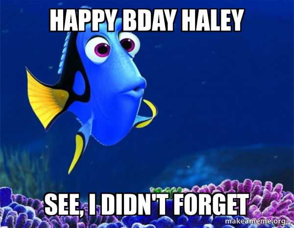 Dory from Nemo  (5 second memory) meme