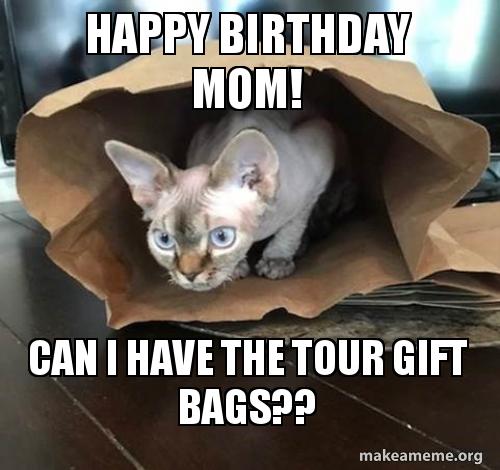 Happy Birthday Mom Can I Have The Tour Gift Bags Cat Make A Meme