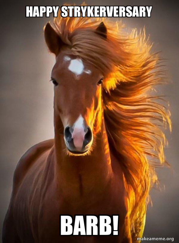 Ridiculously photogenic horse meme