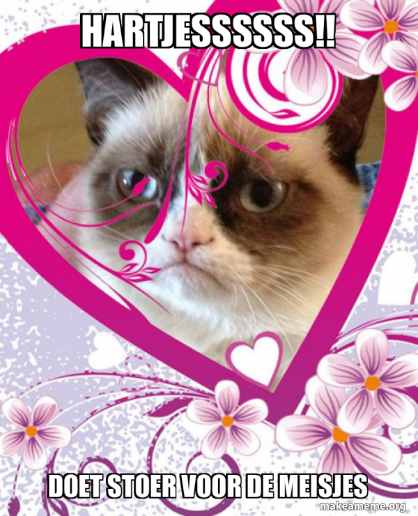 Grumpy cat Valentines Day meme