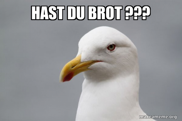 Hast Du Brot Memenull