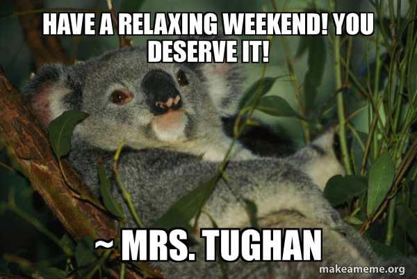 Laid Back Koala meme