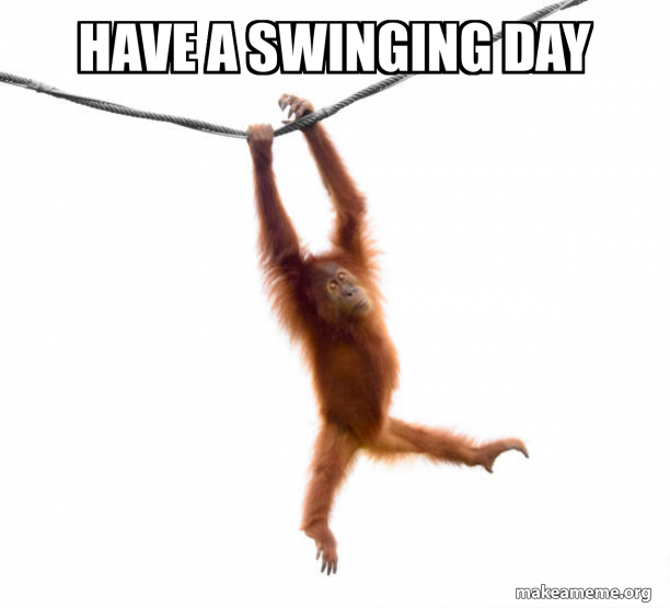 Have a swinging day Make a Meme