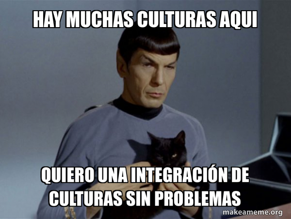 Spock and Cat Meme meme