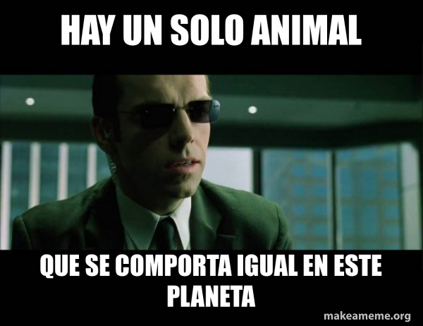 Agent Smith from the Matrix meme