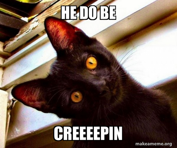 Overly Attached Cat meme