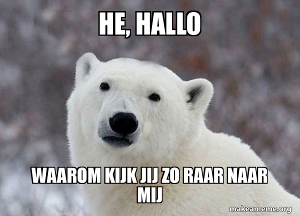 he, hallo waarom kijk jij zo raar naar mij - Popular Opinion Polar Bear