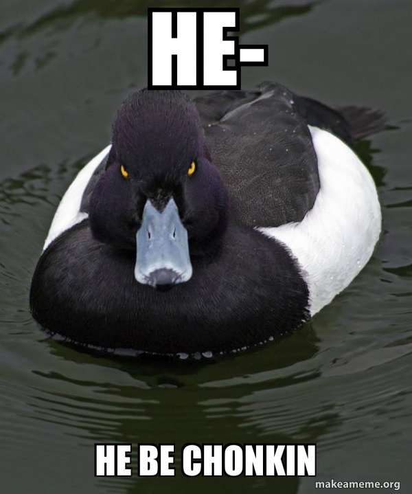 Revenge Duck ( Angry Advice Duck ) meme
