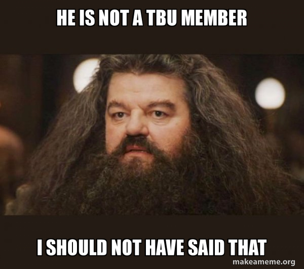 Hagrid - I should not have said that meme