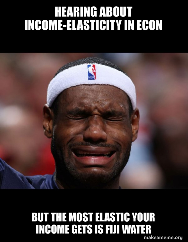 Hearing about Income-Elasticity in Econ But the most elastic your ...