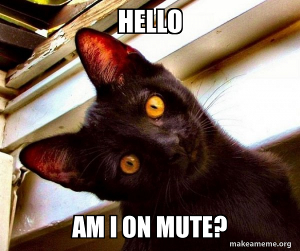 Hello Am I on Mute? - Overly Attached Cat Meme Generator