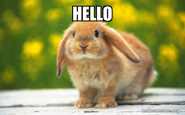 hello - Regretful Rabbit Meme Generator