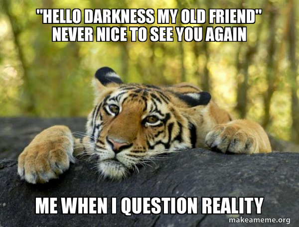 Hello Darkness My Old Friend Never Nice To See You Again Me When I Question Reality Confession Tiger Make A Meme
