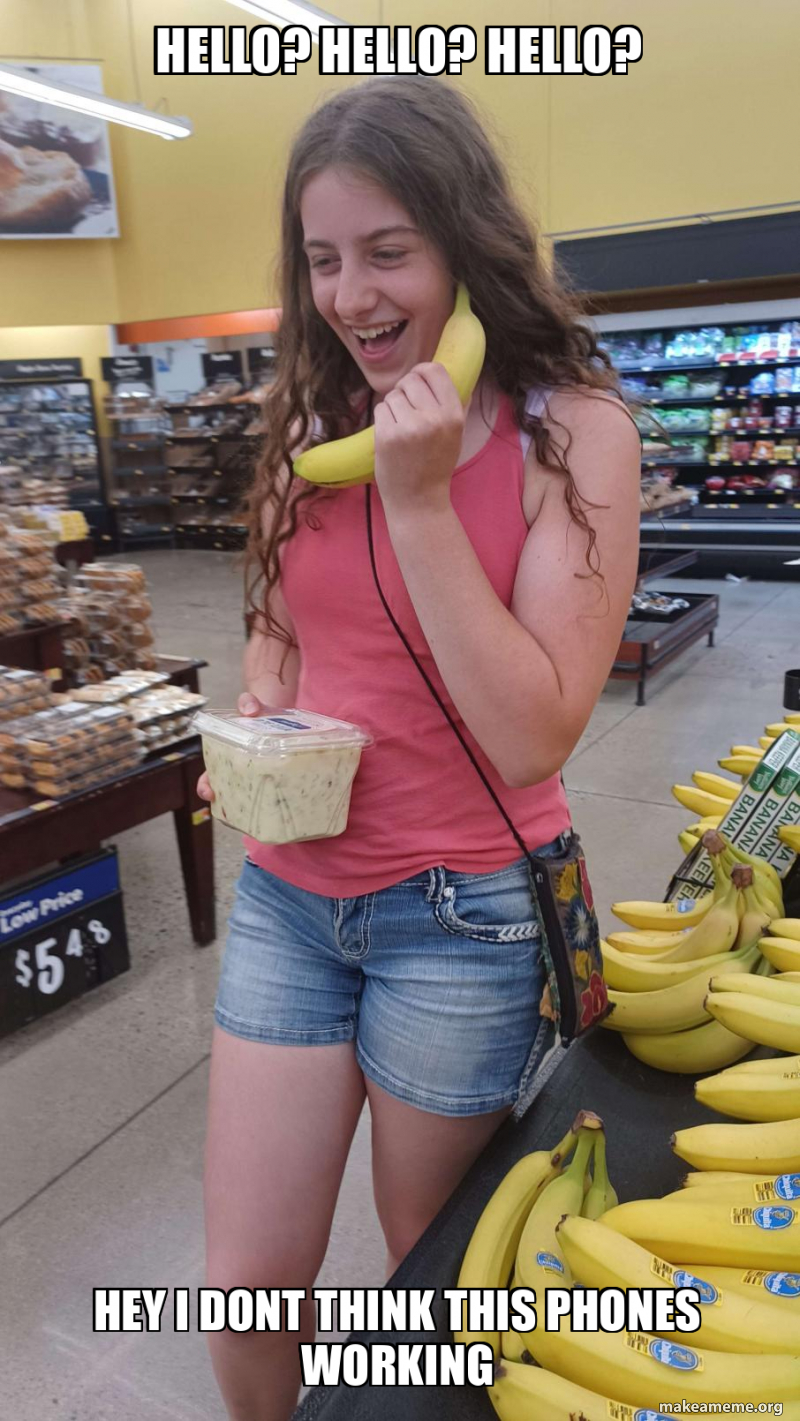 hello? hello? hello? hey i dont think this phones working Meme Generator