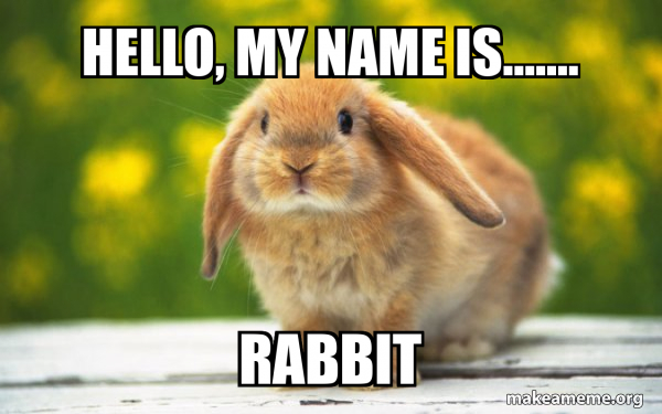 Regretful Rabbit meme