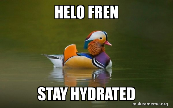 Fashionable Advice Mallard meme