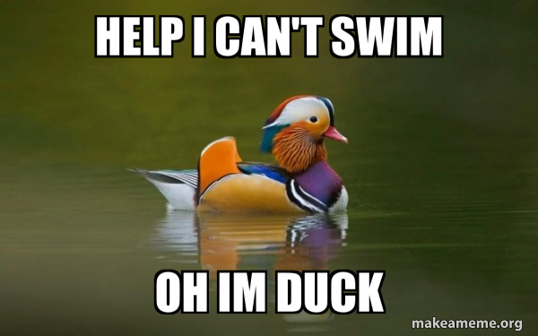 Fashionable Advice Mallard meme