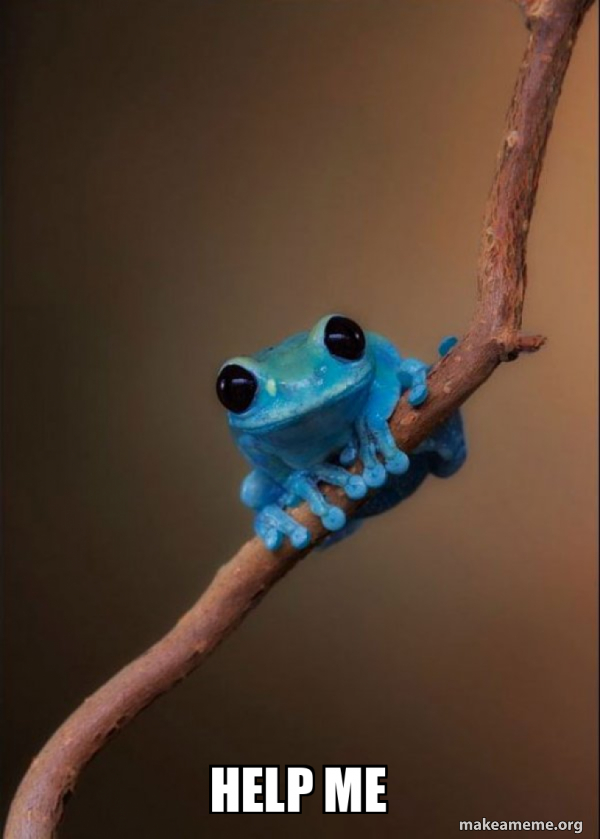 help me - Small Fact Frog Meme Generator