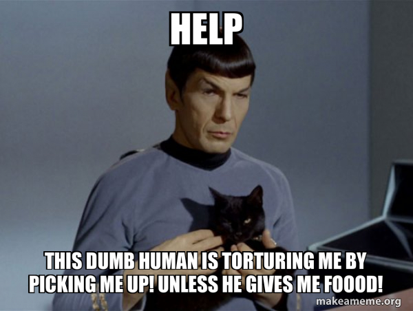 Spock and Cat Meme meme