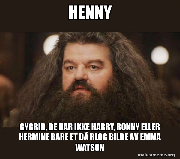 Hagrid - I should not have said that meme