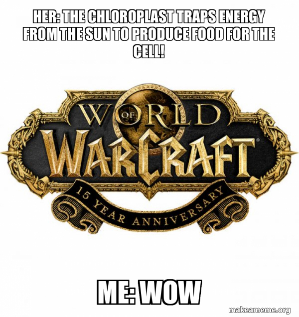 WOW Classic - World of WarCraft meme