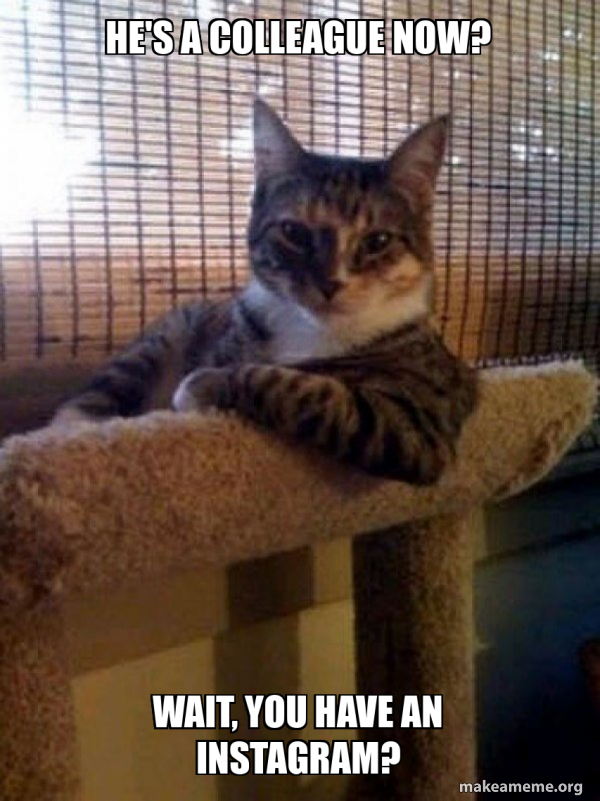 The Most Interesting Cat in the World meme