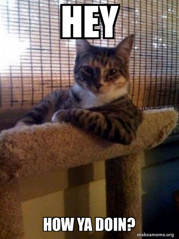 The Most Interesting Cat in the World meme