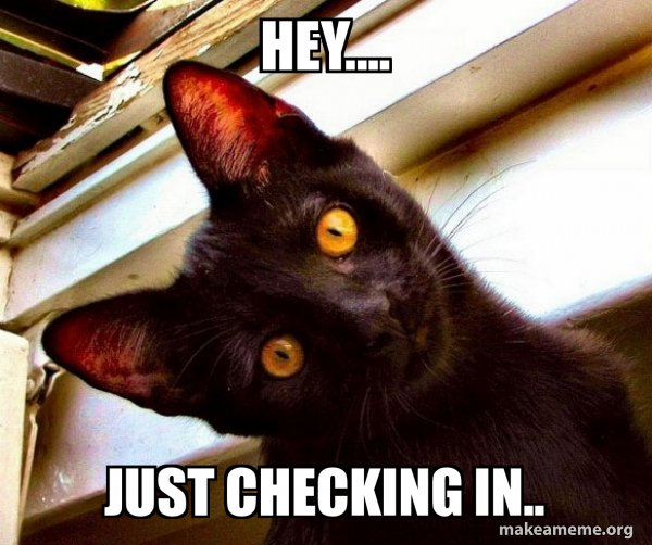 Hey.... Just checking in.. - Overly Attached Cat Meme Generator
