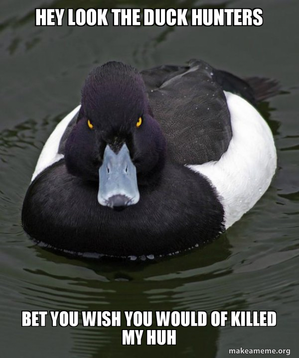 Revenge Duck ( Angry Advice Duck ) meme