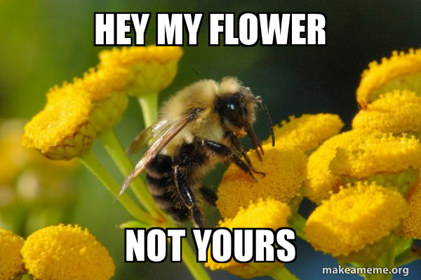 Good Guy Bee meme