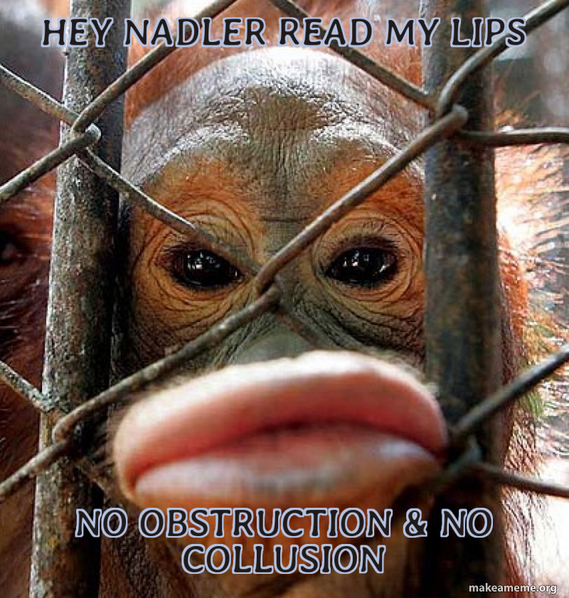 Hey Nadler read my lips no obstruction & no collusion Meme Generator