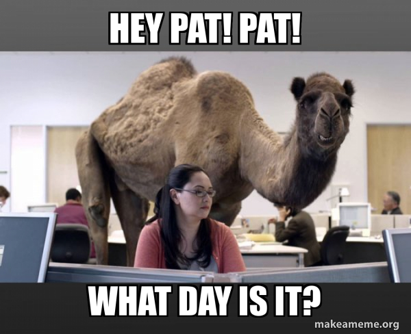 Hump Day Camel meme