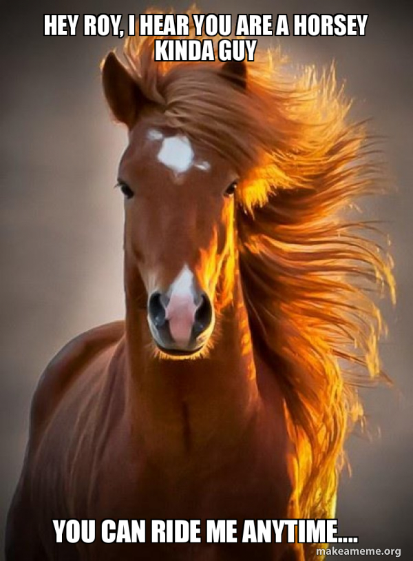 Ridiculously photogenic horse meme