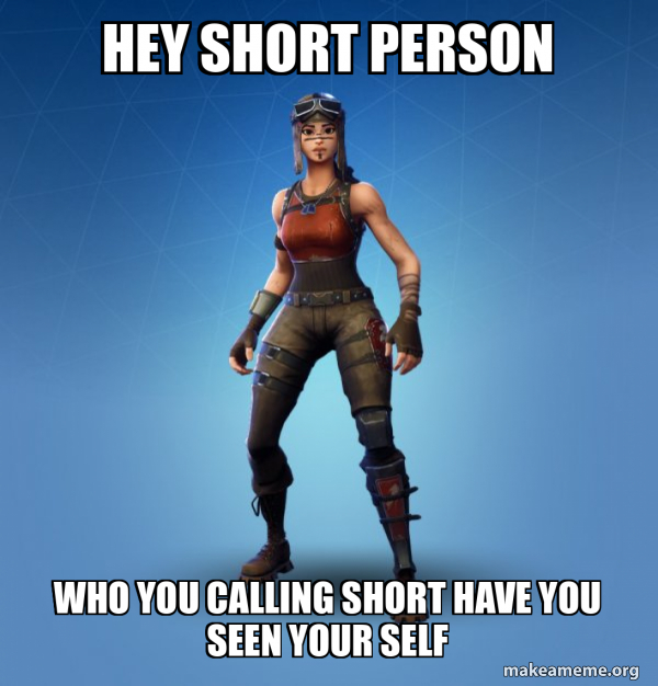 Renegade Raider Fortnite Skin meme