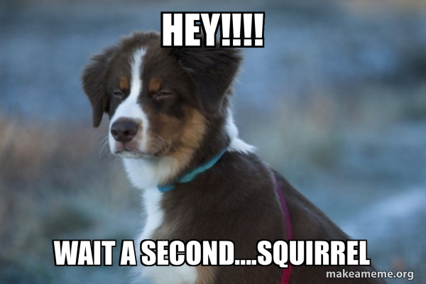 Unsure Dog meme