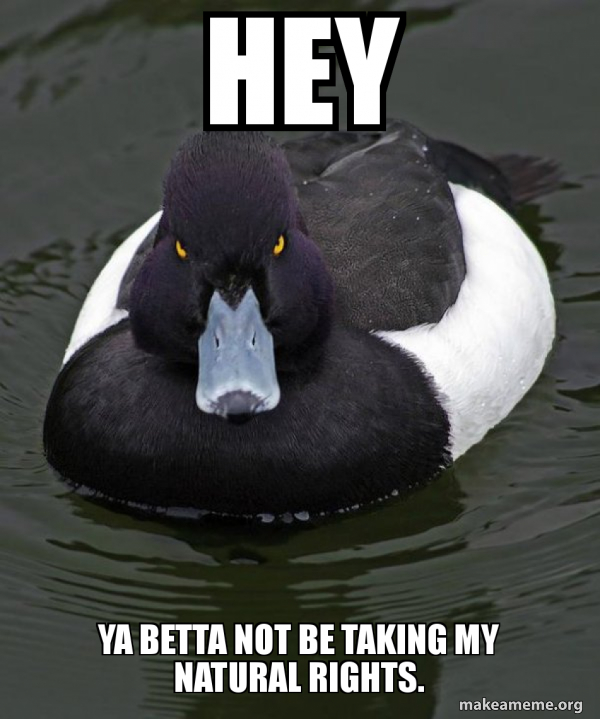 Revenge Duck ( Angry Advice Duck ) meme