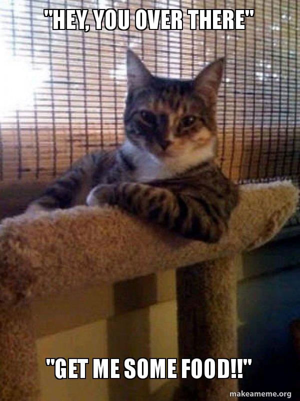 Hey You Over There Get Me Some Food Trynna Be Cool Make A Meme