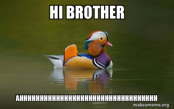 Fashionable Advice Mallard meme